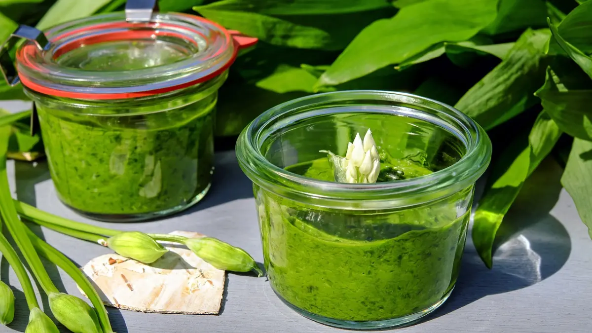 Chimichurri Paste im Glas