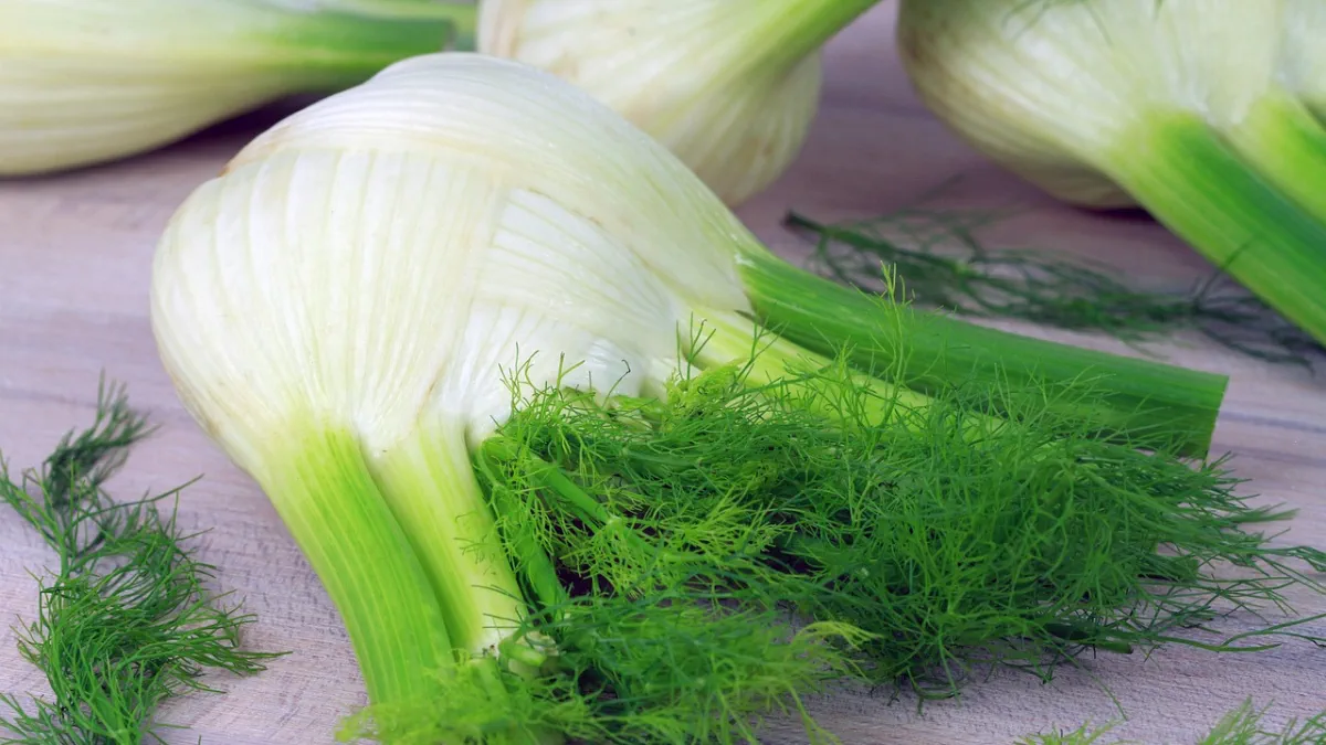 Hähnchenschenkel mit Fenchelgemüse 